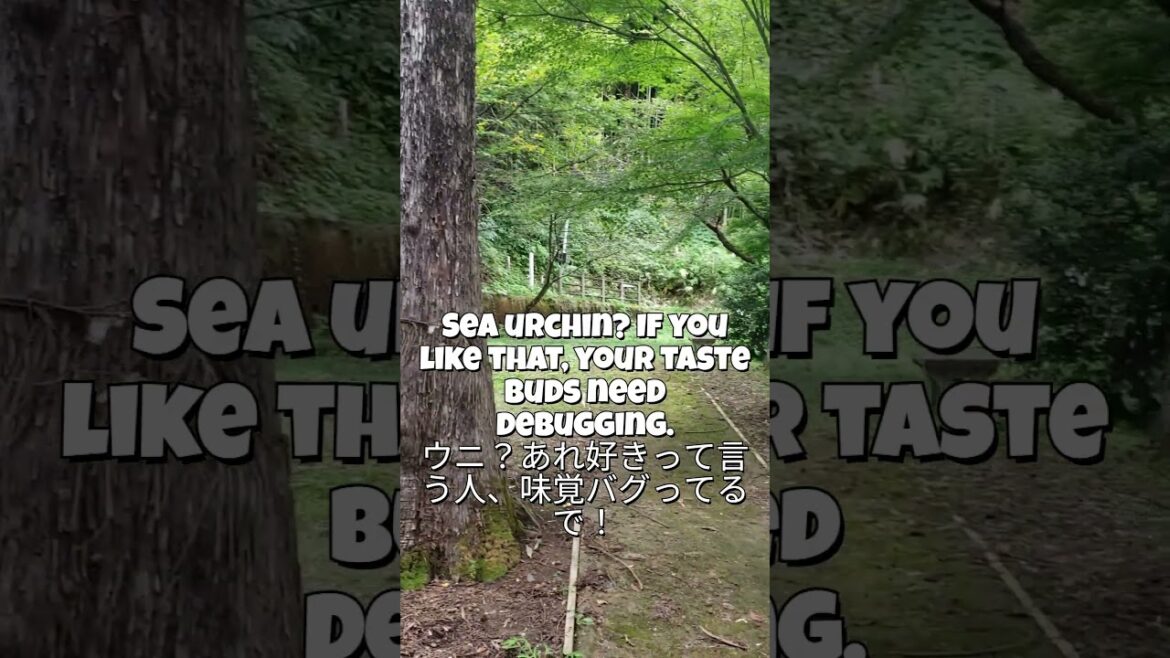 Where Righteousness Stood: Yoita Castle’s Silent Legacy Where Righteousness Stood: Yoita Castle’s Silent Legacy