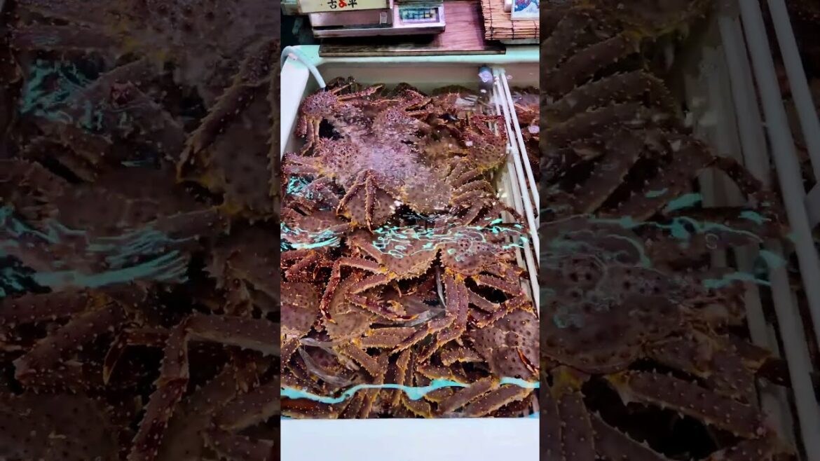 Otaru, Hokkaido, Japan #japantravel #shorts #travelshorts #japanshorts #nippon