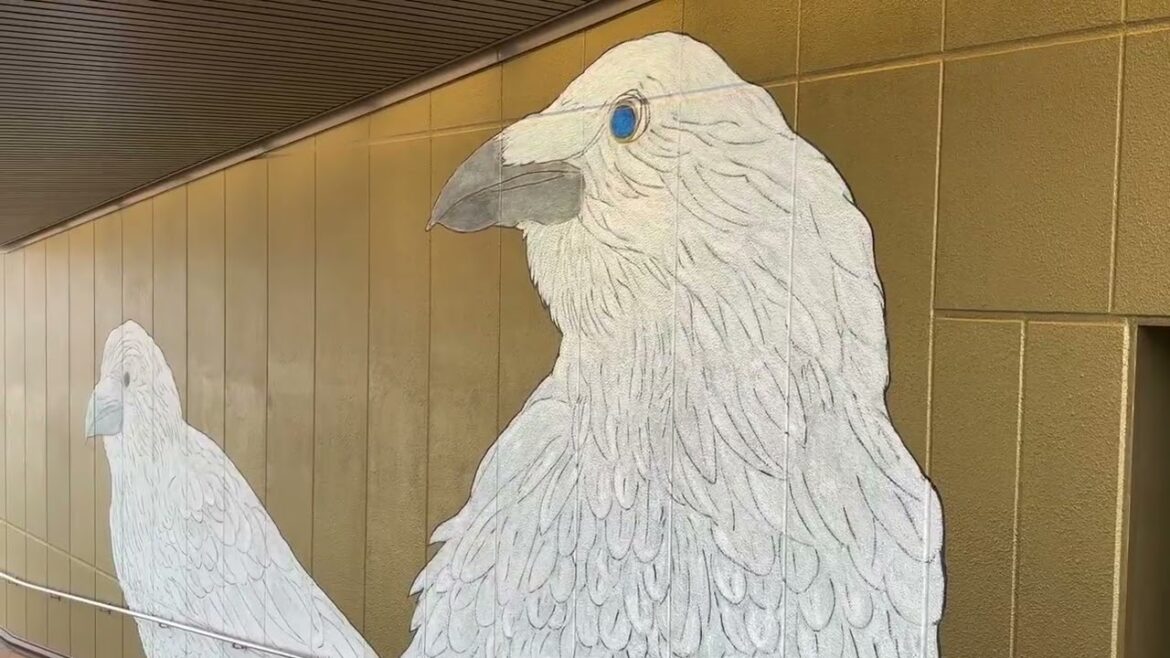 Best things to do in Hiroshima, Japan!