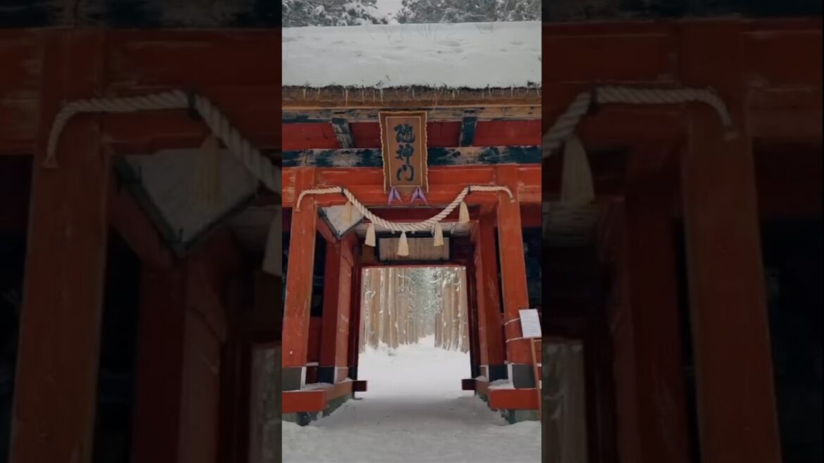 ⛩️ Togakushi Shrine , Nagano – Natural Charm of Japan #nagano #shrine #japan ⛩️ Togakushi Shrine , Nagano – Natural Charm of Japan #nagano #shrine #japan