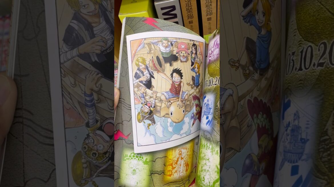 Travel Vlog: Exploring Kitakyushu Japan from Yahata to Kyushu University Ito