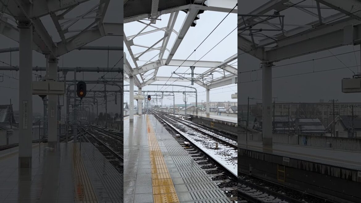 Winter in Nagoya Japan ❄️🇯🇵