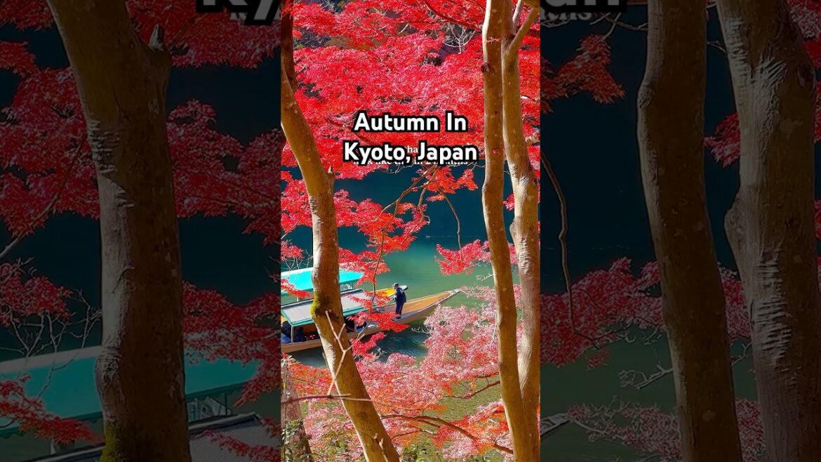 Autumn in Kyoto 🍁 the most beautiful season to visit! #kyototravel #kyoto #japantravel #kyototrip