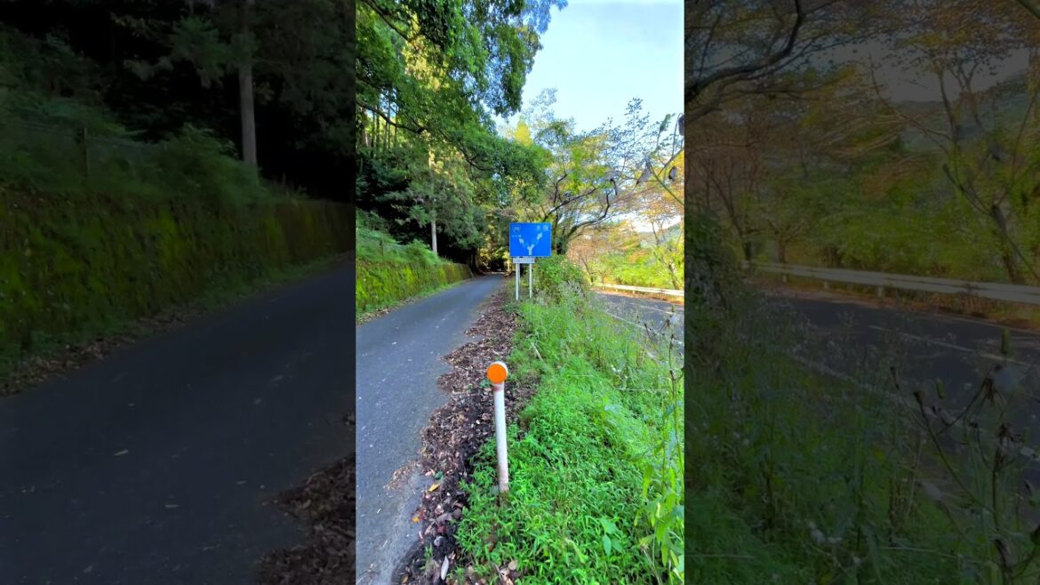 Y junction: Kugino, Minamata, Kumamoto, Japan #japanesecountryside #japaneselandscape  #travel