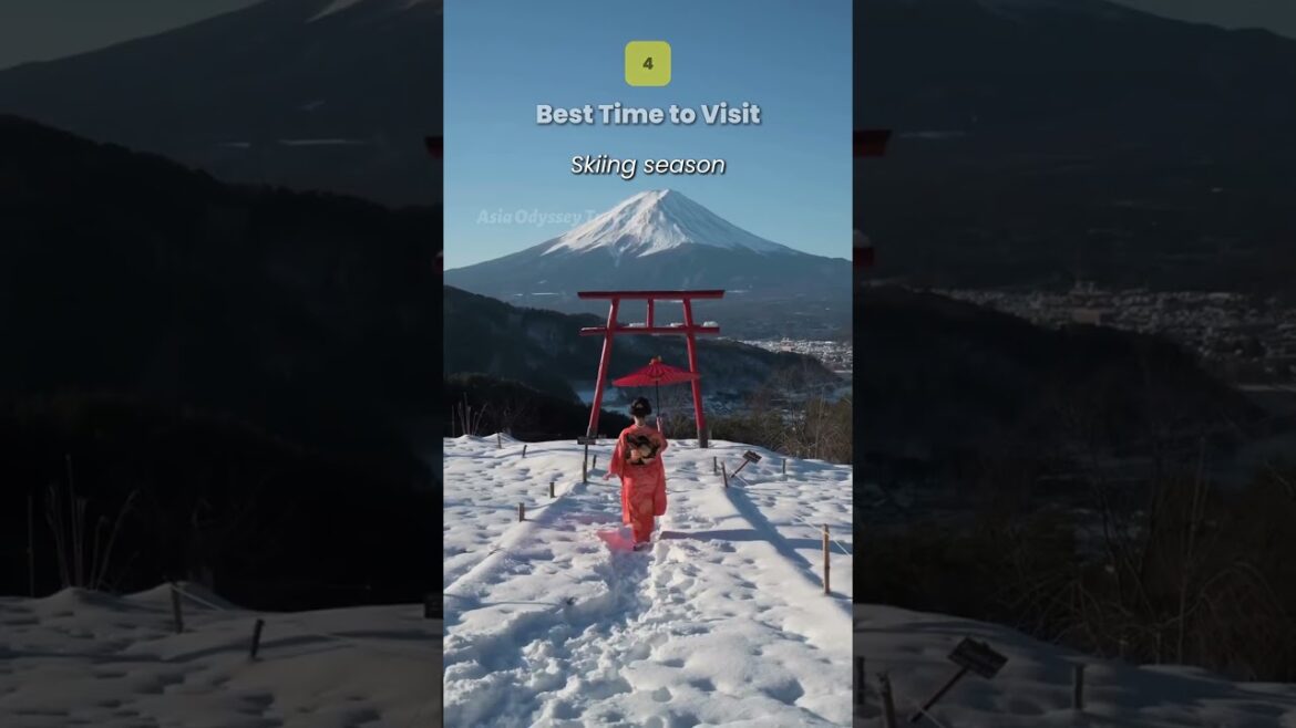 How to See Mount Fuji from Tokyo Best Spots + Transport Tips! How to See Mount Fuji from Tokyo Best Spots + Transport Tips!