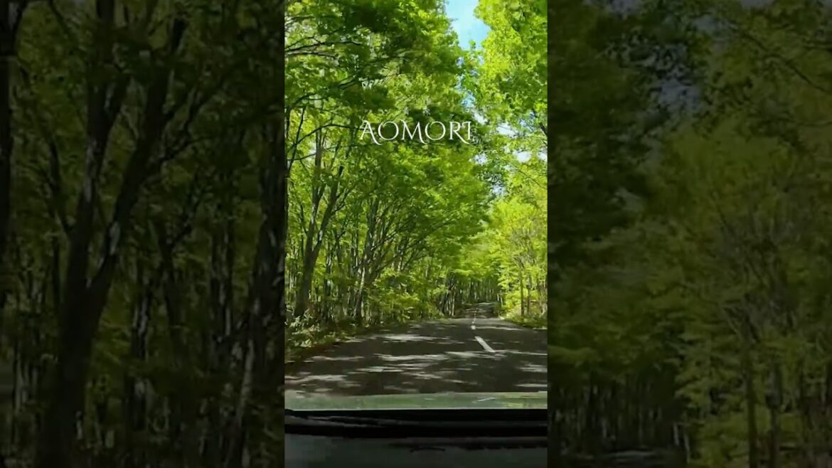 Aomori Japan Trip, amazing nature and food. #hikejapan #tokyotravel #aomoritrip #japannature