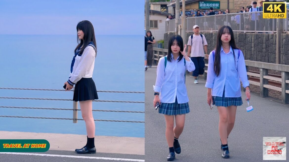 4K HDR Japan travel 2025 | Walk in Kamakura(鎌倉)Kanagawa Japan | Relaxing Natural Ambience 4K HDR Japan travel 2025 | Walk in Kamakura(鎌倉)Kanagawa Japan | Relaxing Natural Ambience