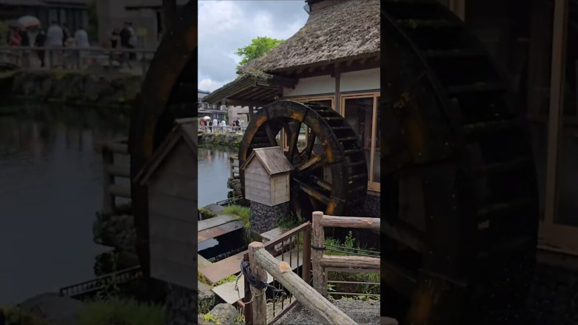 Mt. Fuji Hidden Village #mtfuji