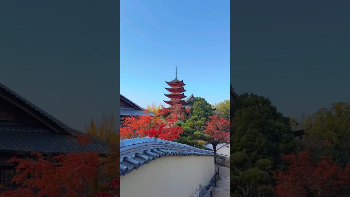 WELCOME π€TO JAPAN πΎ HIROSHIMA #shorts #viral #travel #explore #nature #japaneselandscape WELCOME π€TO JAPAN πΎ HIROSHIMA #shorts #viral #travel #explore #nature #japaneselandscape