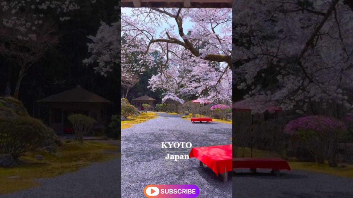 Come to Kyoto😍🎆🗼🌁💔💯#shorts#viralshorts#travel#kyoto