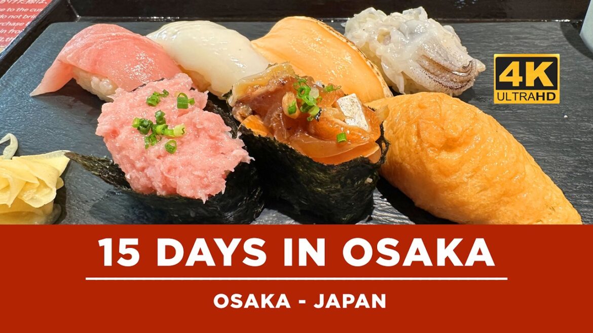 Yummy 15 Days Osaka Japan Travel Guide @tommytravelz in 4k 60fps