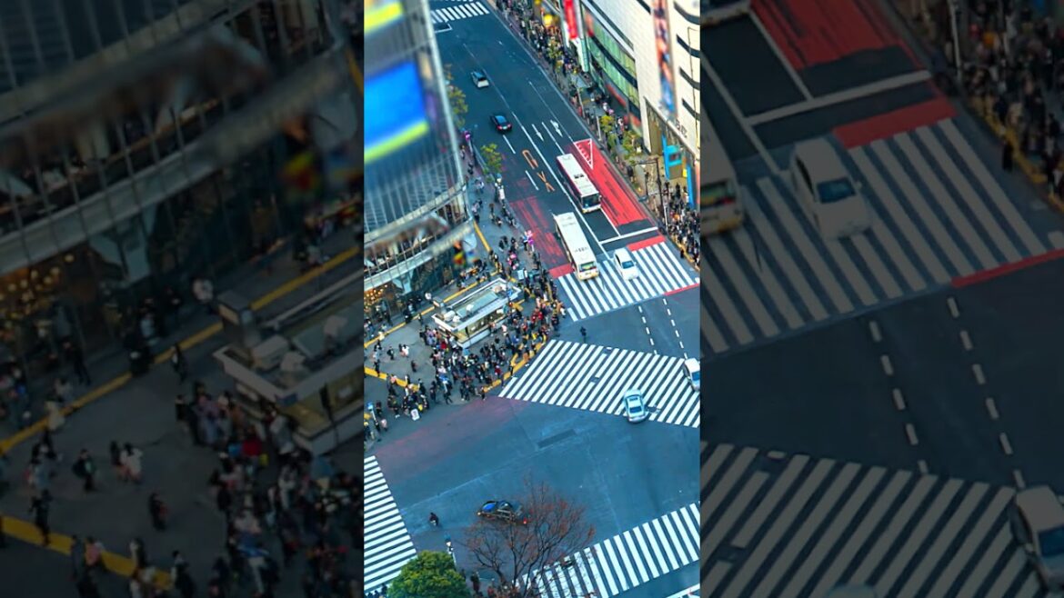 Inside Tokyo’s Craziest Crossing #tokyo #shibuya #travel #visitjapan Inside Tokyo’s Craziest Crossing #tokyo #shibuya #travel #visitjapan