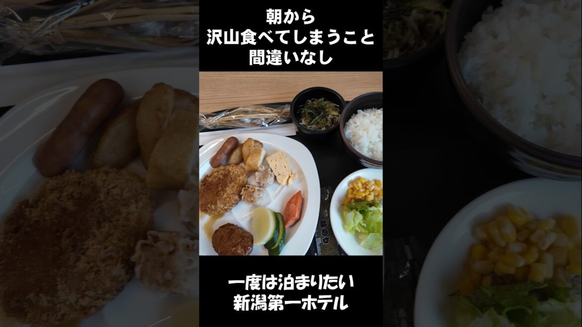 泊まって本当に良かった新潟第一ホテル