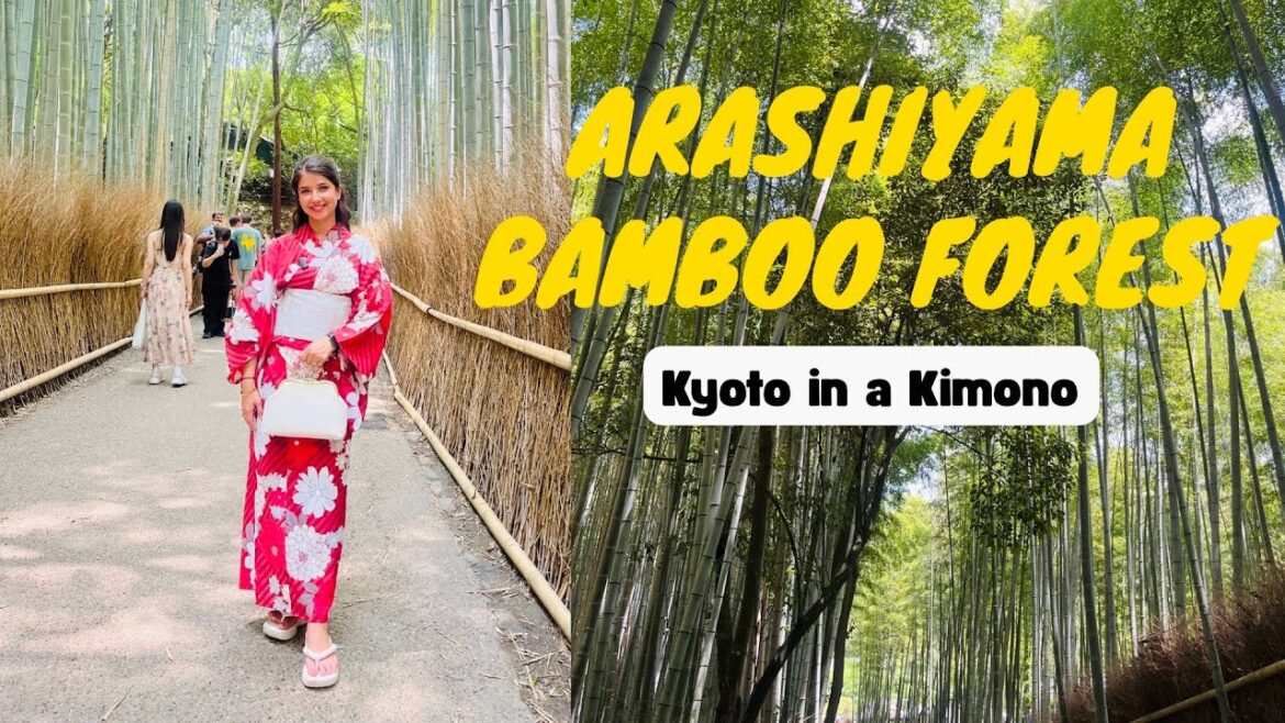 Arashiyama Bamboo Forest Kyoto | Kimono Experience in Japan : All you need to know Arashiyama Bamboo Forest Kyoto | Kimono Experience in Japan : All you need to know
