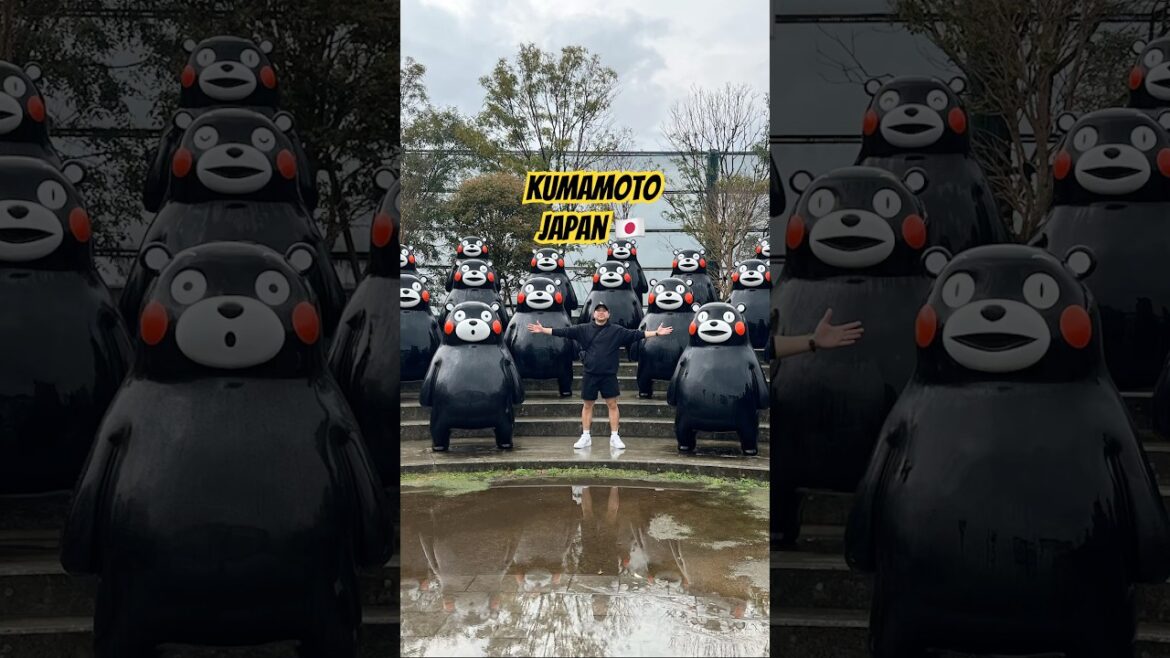 Kumamon! 🇯🇵