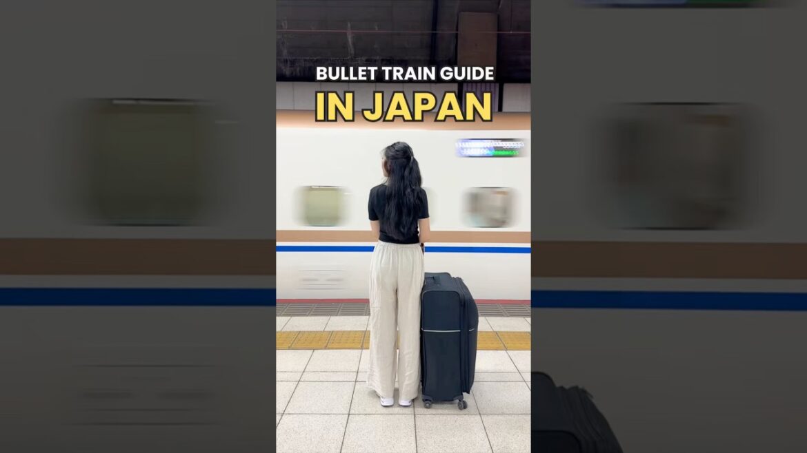 4 MISTAKES I Made Taking The Shinkansen In Japan #japan