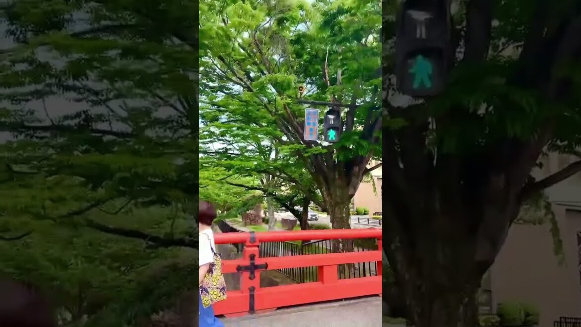 【KYOTO】Must-See Tourist Attraction- Heian Jingu Shrine 【KYOTO】Must-See Tourist Attraction- Heian Jingu Shrine