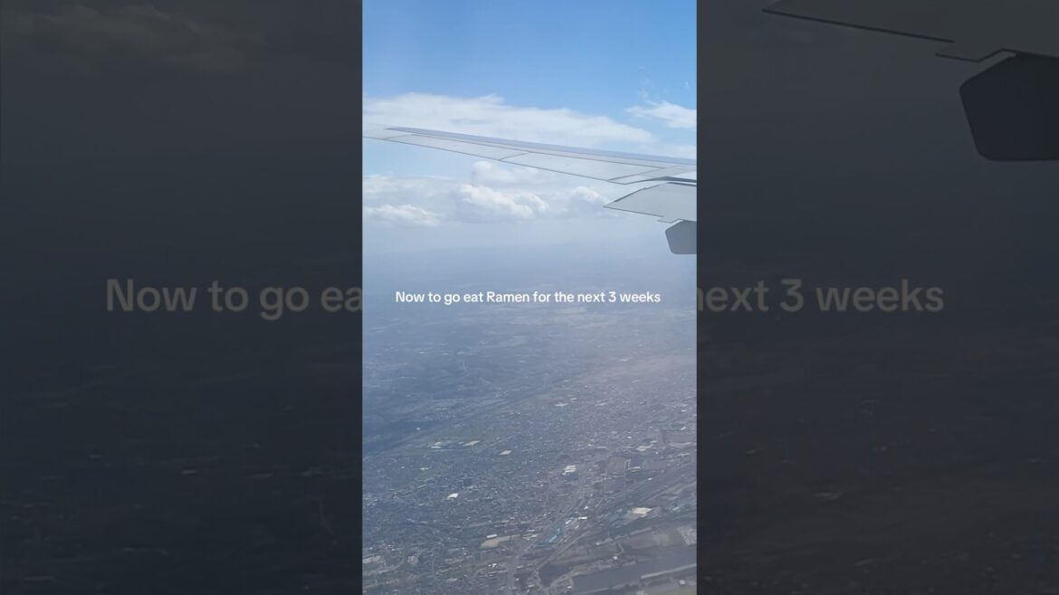 In flight food is always gourmet 🫠 #airplanefood #japanflight #japantravel #airlinefood