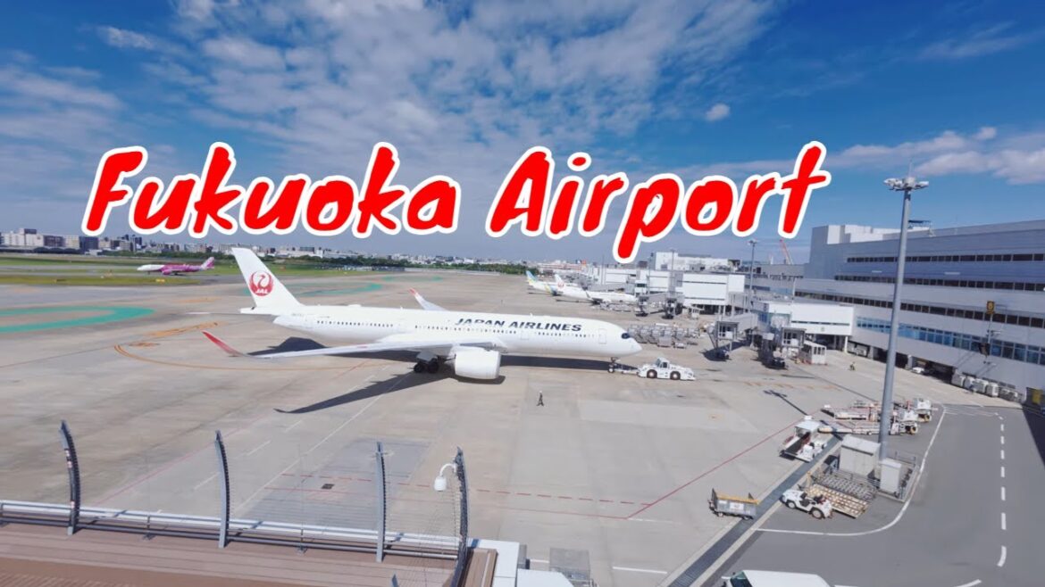Fukuoka Airport 2025【空港散歩】福岡空港国内線2025|新しくなった空港をウォーキングツアー Fukuoka Airport 2025【空港散歩】福岡空港国内線2025|新しくなった空港をウォーキングツアー