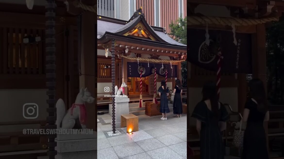 Fukutoku Shrine, Tokyo! ⛩️ #travel #wanderlust #adventure #japan #tokyo