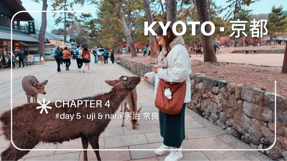 TRAVEL VLOG - KYOTO, JAPAN | AUTUMN 2024 | CHAPTER 4 ~ Day 5 @ Uni & Nara 宇治 奈良