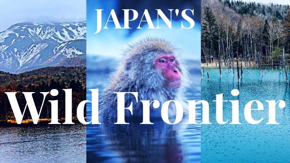 The place in Japan SO REMOTE that 99.9% will NEVER visit The place in Japan SO REMOTE that 99.9% will NEVER visit