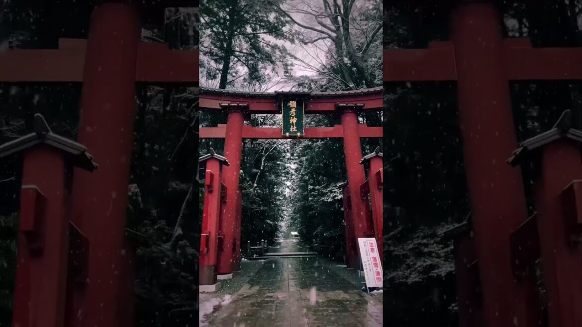 Yahiko Shrine / 弥彦神社 #旅行 #travel #japantravel #visitjapan #yahiko #niigata #winner #snow #弥彦神社 #新潟