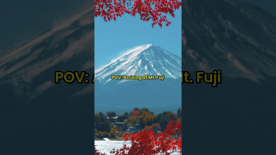 Japan’s Most Iconic View The Shinkansen Flying Past Mt. Fuji 🌸