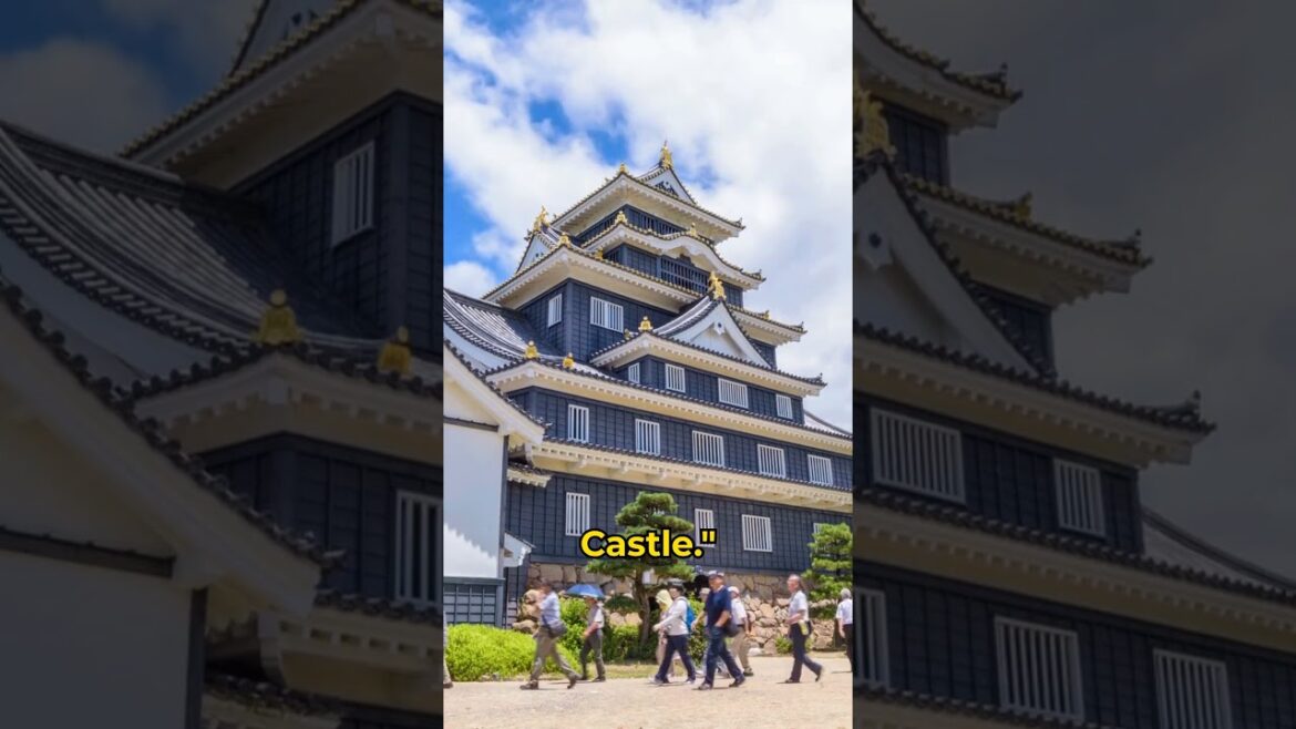 Okayama Japan: Crow Castle, Korakuen Garden & Seto Ohashi Bridge 🌿🏯🌉