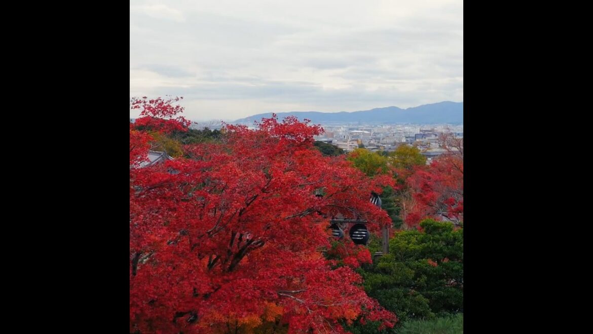 Kyoto Magnificent Panorama