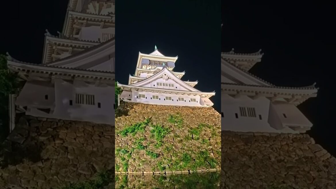 Whispers of Samurai Souls | Kokura Castle, Japan
