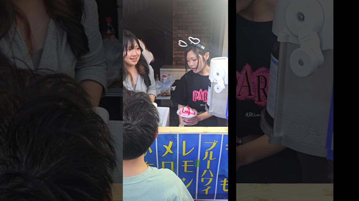 25. Vacation.  Hakodate 01.