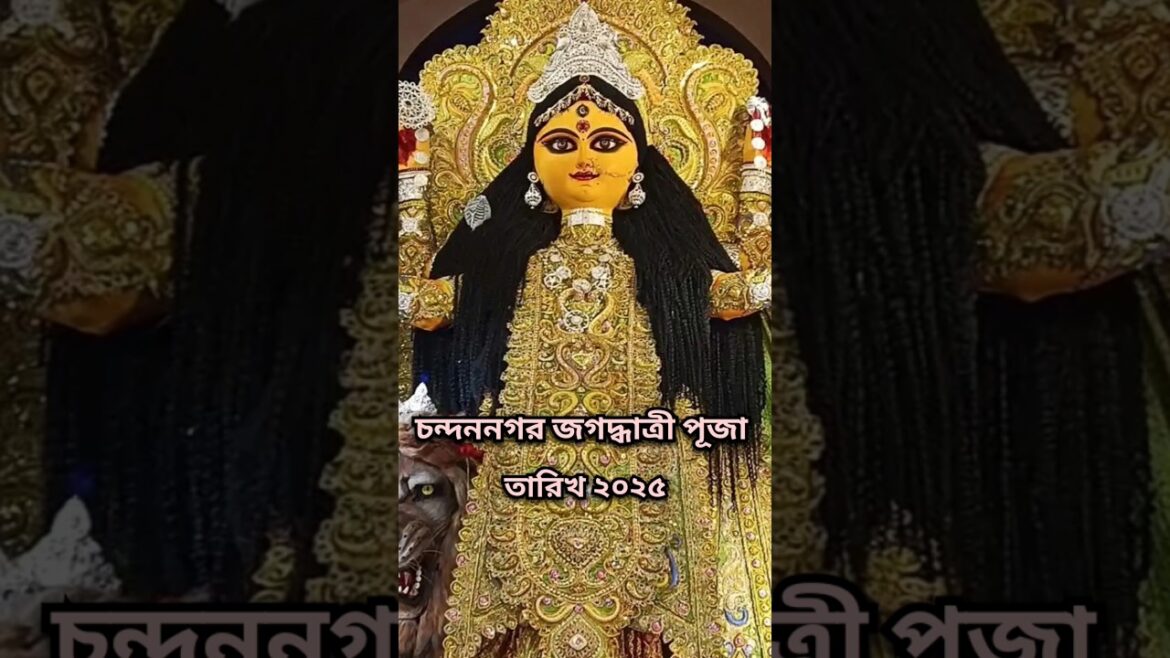 Chandannagar Jagadhatri Puja Date 2025 | জগদ্ধাত্রী পূজা সময়সূচী ২০২৫ | #shorts #youtubeshorts