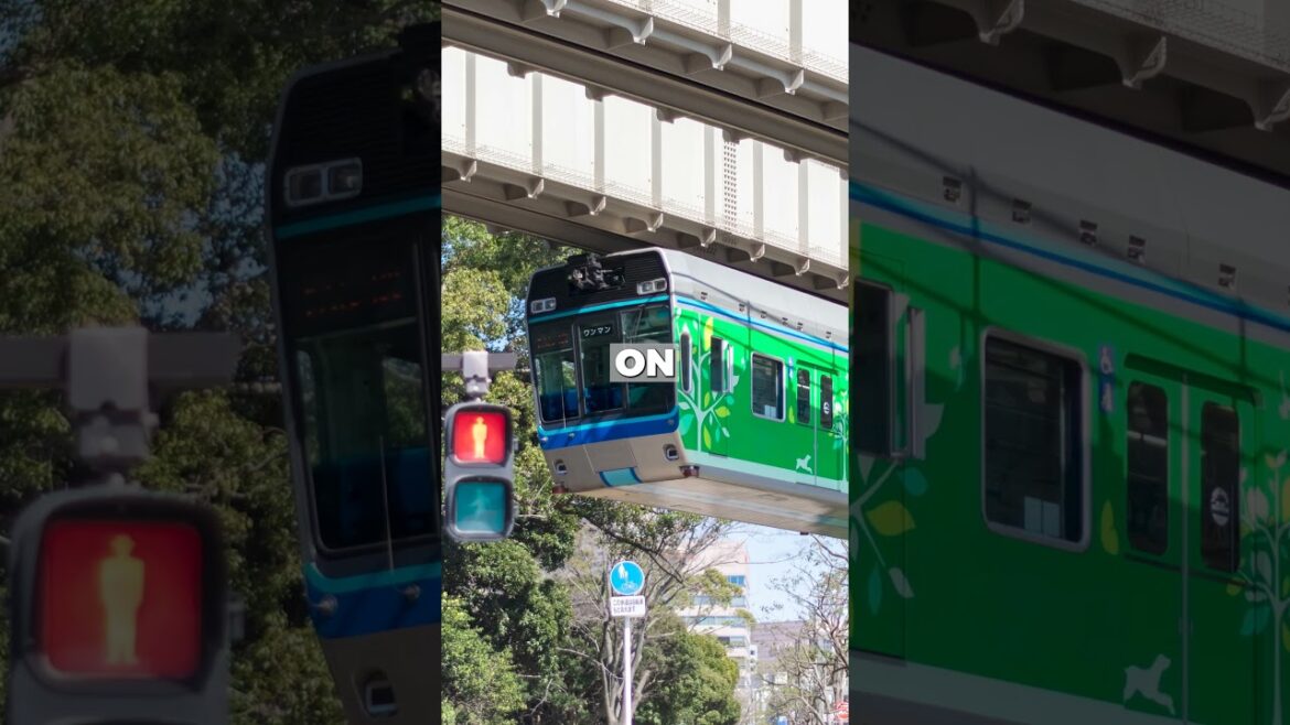 Chiba Monorail – Riding the World’s Longest Suspended Train #travelshorts #monorail #chiba Chiba Monorail – Riding the World’s Longest Suspended Train #travelshorts #monorail #chiba