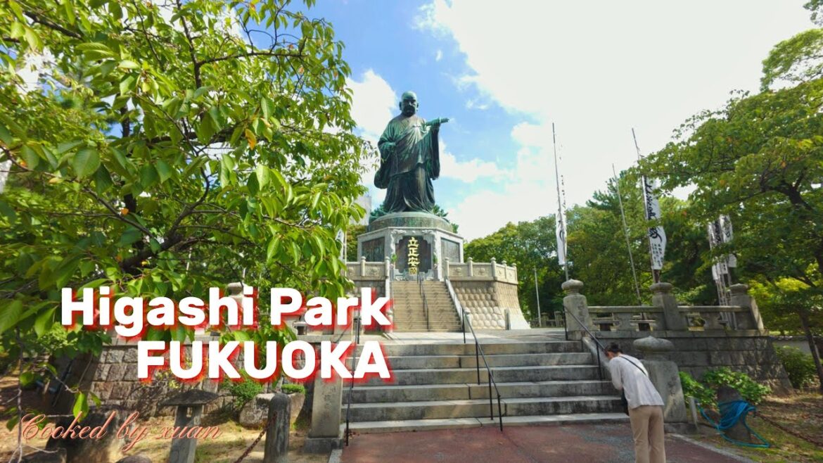 Higashi Park Nature Awaits in Fukuoka| 🌿東公園の自然散歩|福岡の癒しスポットを歩く Higashi Park Nature Awaits in Fukuoka| 🌿東公園の自然散歩|福岡の癒しスポットを歩く