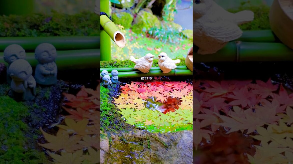 【紅葉】この秋絶対訪れてほしい京都の絶景スポット　#紅葉 #京都観光