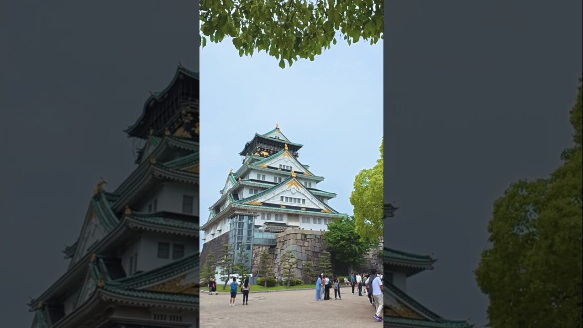 walking around Osaka Castle #ambleNnosh #travel #osaka #japan #shorts