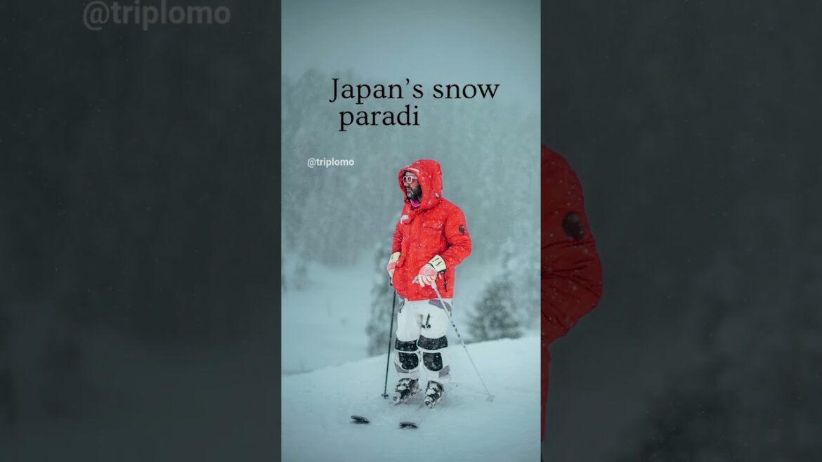 Why Hokkaido Should Be on Your Japan Travel List Why Hokkaido Should Be on Your Japan Travel List