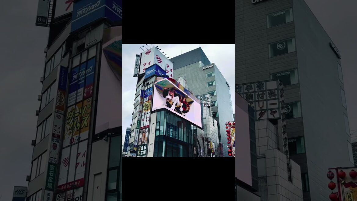 Capturing Tokyo’s Golden Dusk with Fujifilm #4k #travel #tokyo #shinjuku