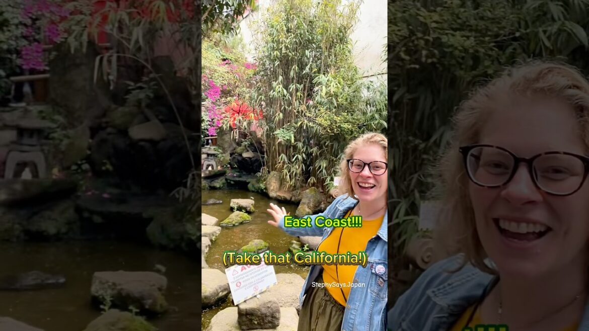 🇯🇵🇧🇷Museum in Japan & Brazil’s Japan Town 🇯🇵🇧🇷Museum in Japan & Brazil's Japan Town