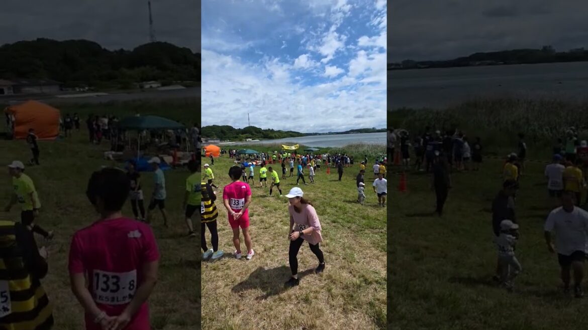 marathon in hamamatsu #japan #japan2025 #southkorea #japantravel #yt