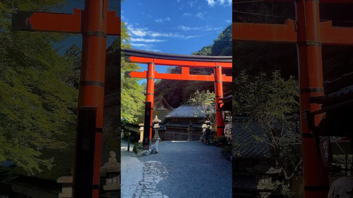 π Saga Toriimoto, Kyoto. Check my Map & Guide for more spots like this π―π΅ #japanitinerary π Saga Toriimoto, Kyoto. Check my Map & Guide for more spots like this π―π΅ #japanitinerary