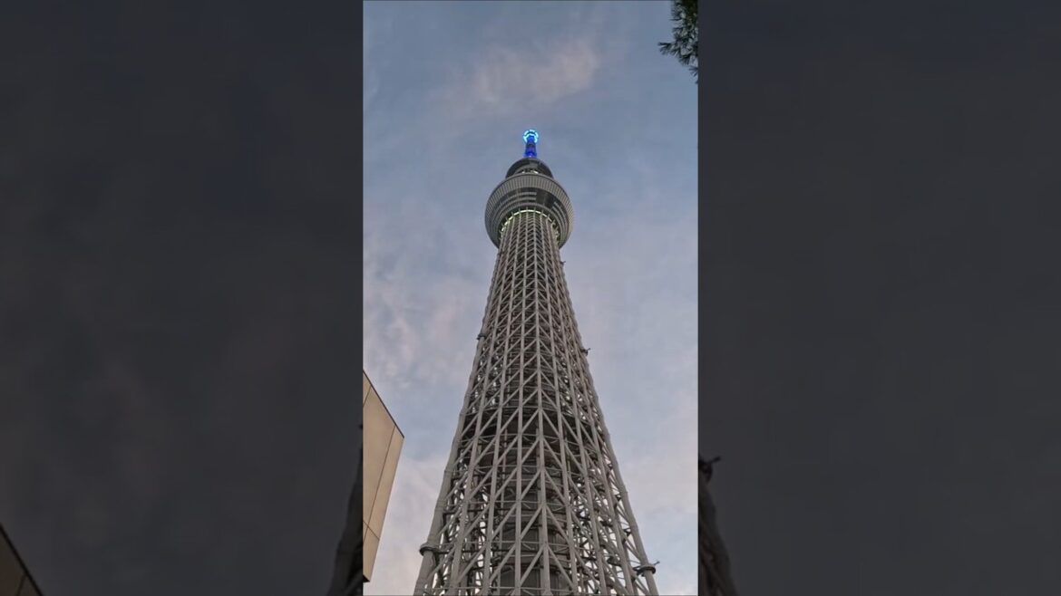 How big is this??? CRAZY! #japan #vlog #travel #tokyo #skytree