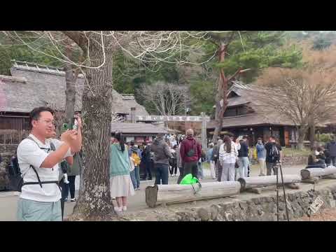 Explore Saiko Iyashi-no-Sato Nenba | Mt. Fuji Traditional Village Tour in Japan #japantravel Explore Saiko Iyashi-no-Sato Nenba | Mt. Fuji Traditional Village Tour in Japan #japantravel
