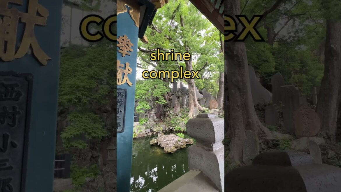 don’t leave Japan before you’ve seen this. #japan #travel #narita don't leave Japan before you've seen this. #japan #travel #narita