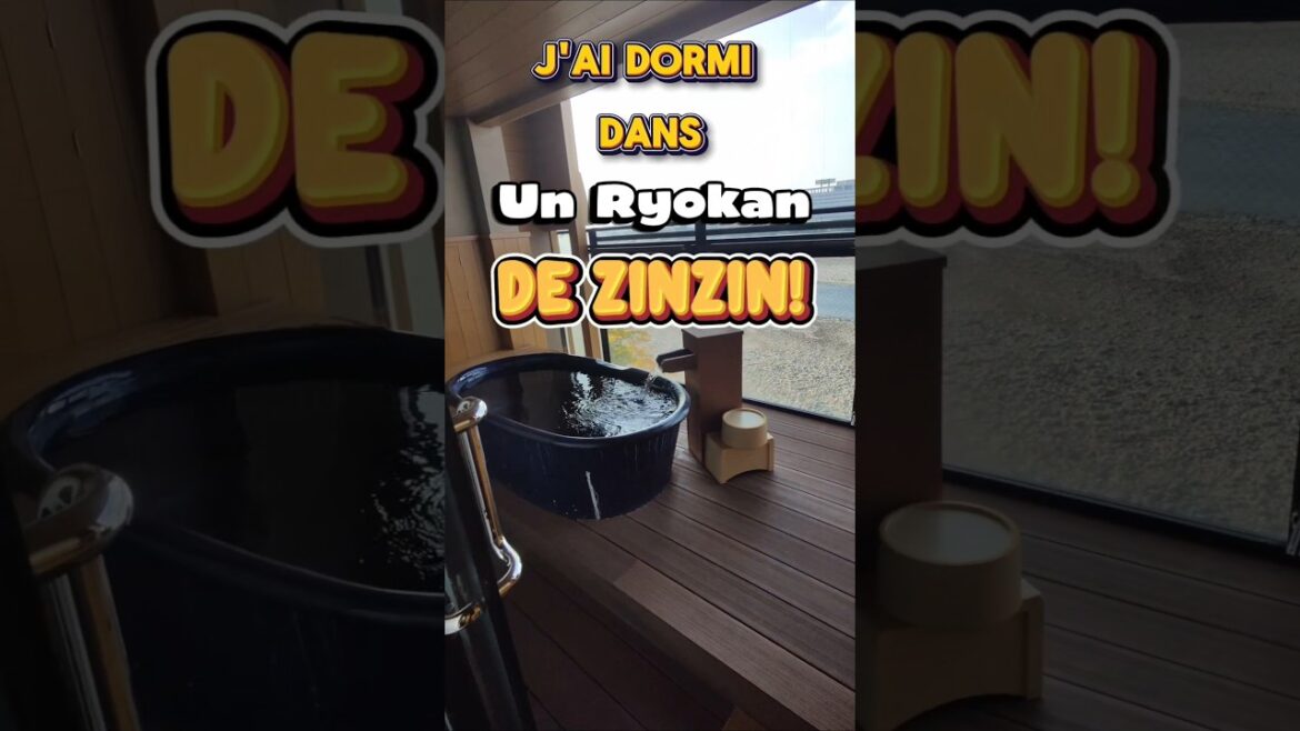 UN RYOKAN DE ZINZIN À GIFU ♨️🇯🇵 #japon #voyages #vacances #japan #gifu #ryokan #onsen UN RYOKAN DE ZINZIN À GIFU ♨️🇯🇵 #japon #voyages #vacances #japan #gifu #ryokan #onsen