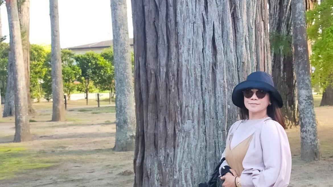 Tour in Sendai part 2