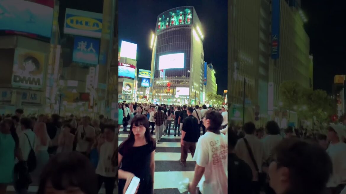 Japan Shibuya Crossing 🇯🇵 #twodreamtickets #japan #shibuya #travel #2025