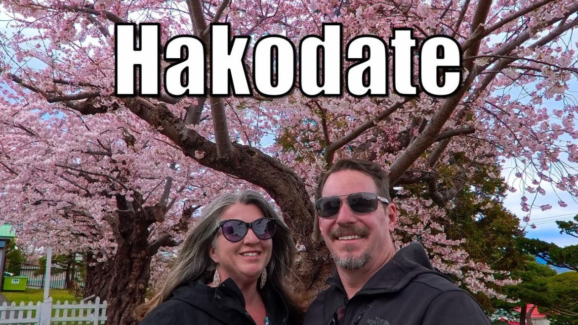 We Found the Best Cherry Blossoms in Japan, Cruise Port of Hakodate!
