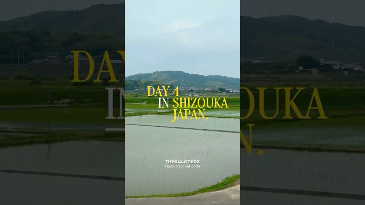 Day 4: Shizouka, Japan #explorejapan #travel